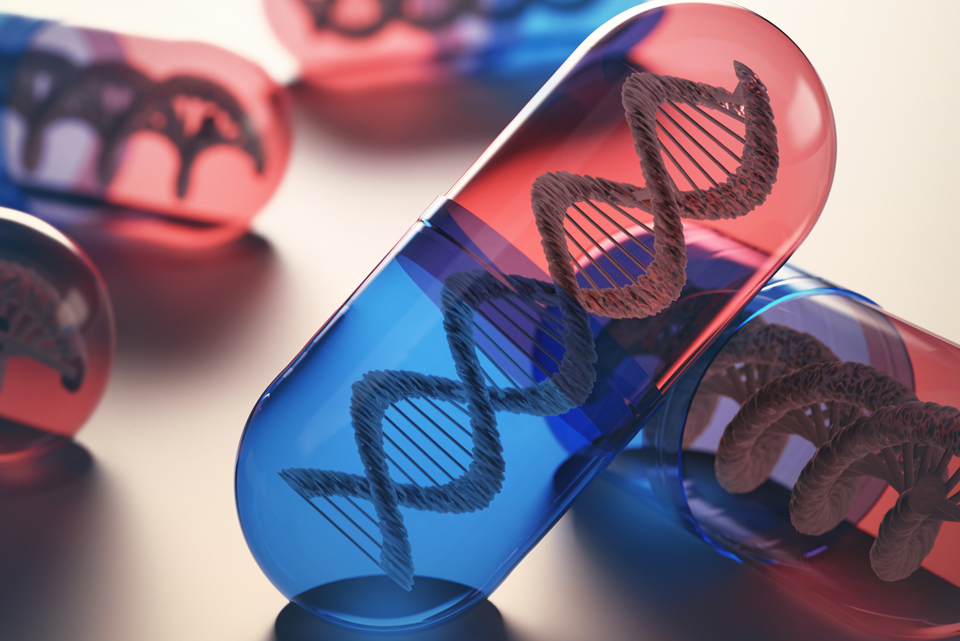 Red and blue capsules with double helices inside.