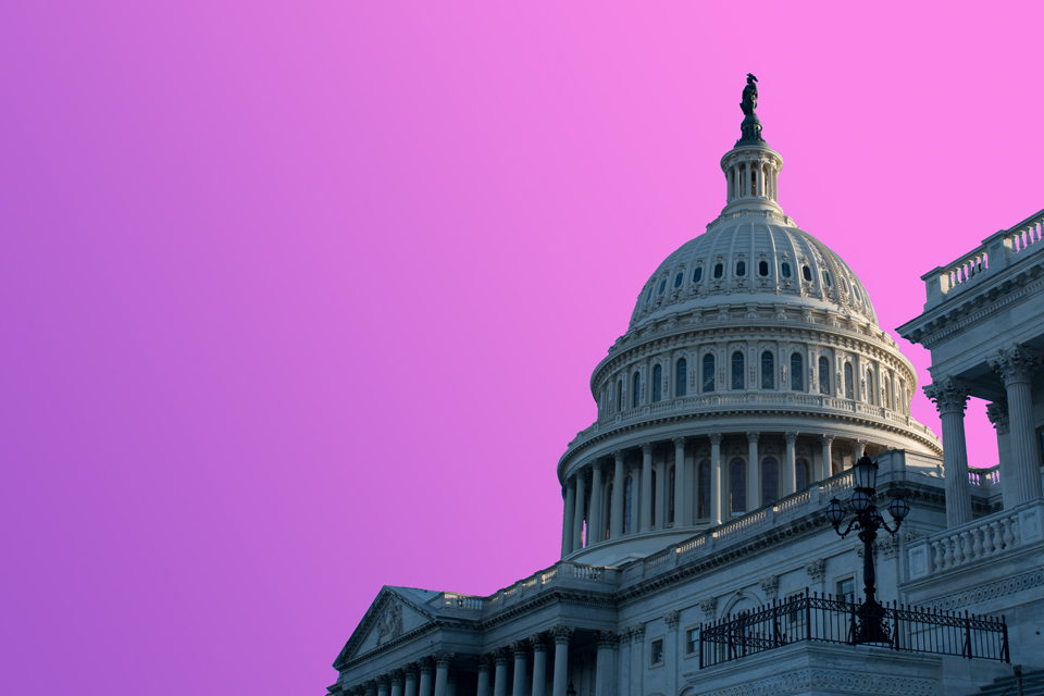 United States capitol building with a pink-purple sky. 