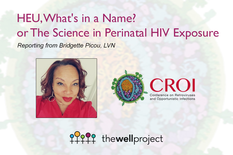 Headshot of Bridgette Picou, LVN and logos for The Well Project and CROI.