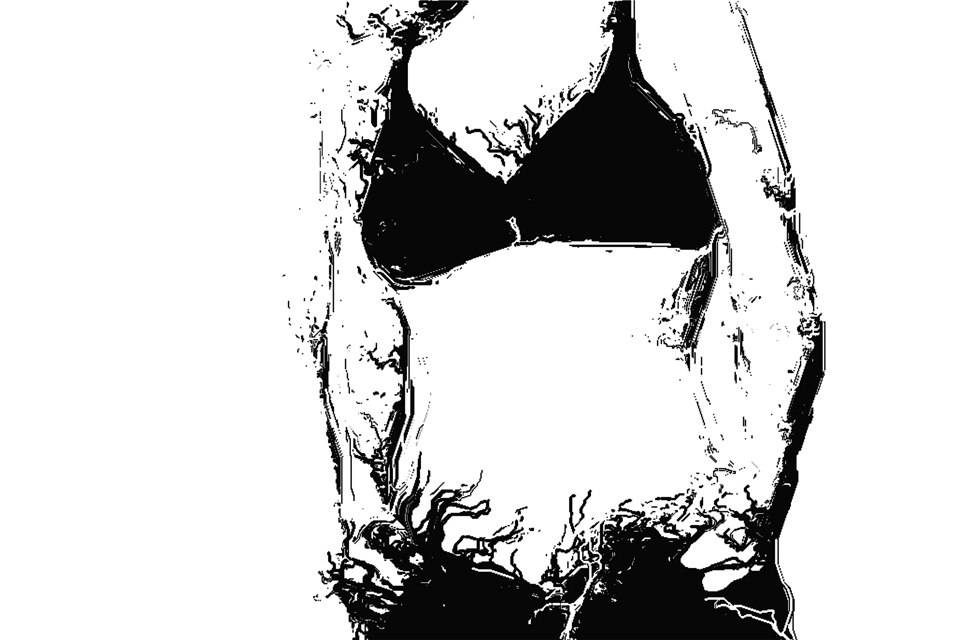 Semiabstract representation of woman's torso from shoulders to hips wearing bra and open-top pants.