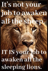 Lion with words "It's not your job to awaken all the sheep. It is your job to awaken all the sleeping lions".