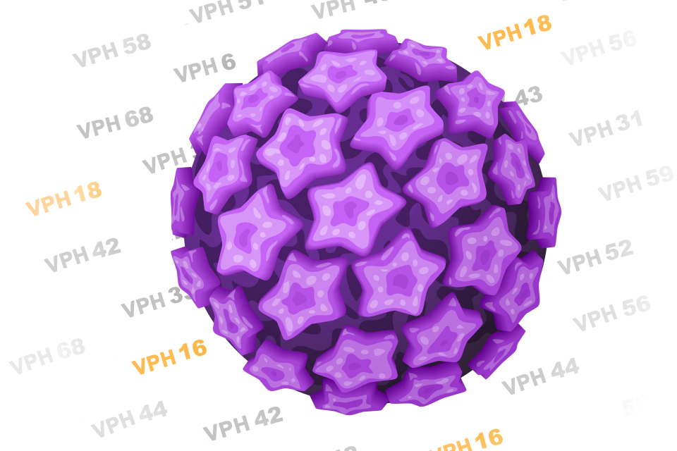 Ilustración del virus del papiloma humano (VPH).
