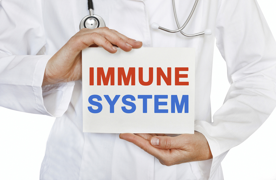 Person dressed in medical garb holding sign that reads &quot;Immune System&quot;.