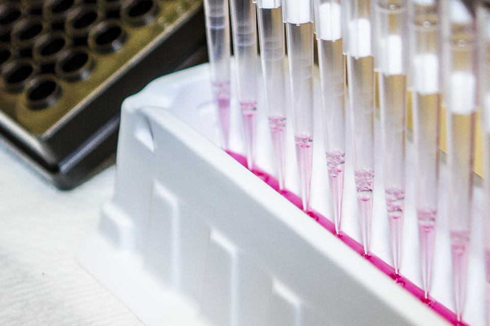 Several test tubes containing liquid in a rack.