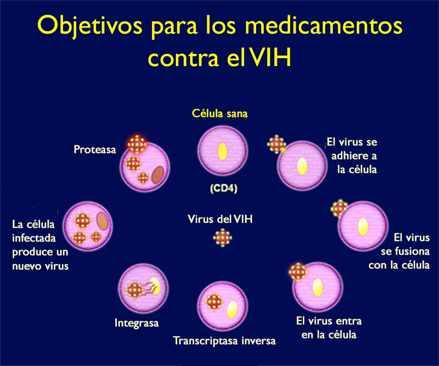 Objetivos para los medicamentos contra el VIH