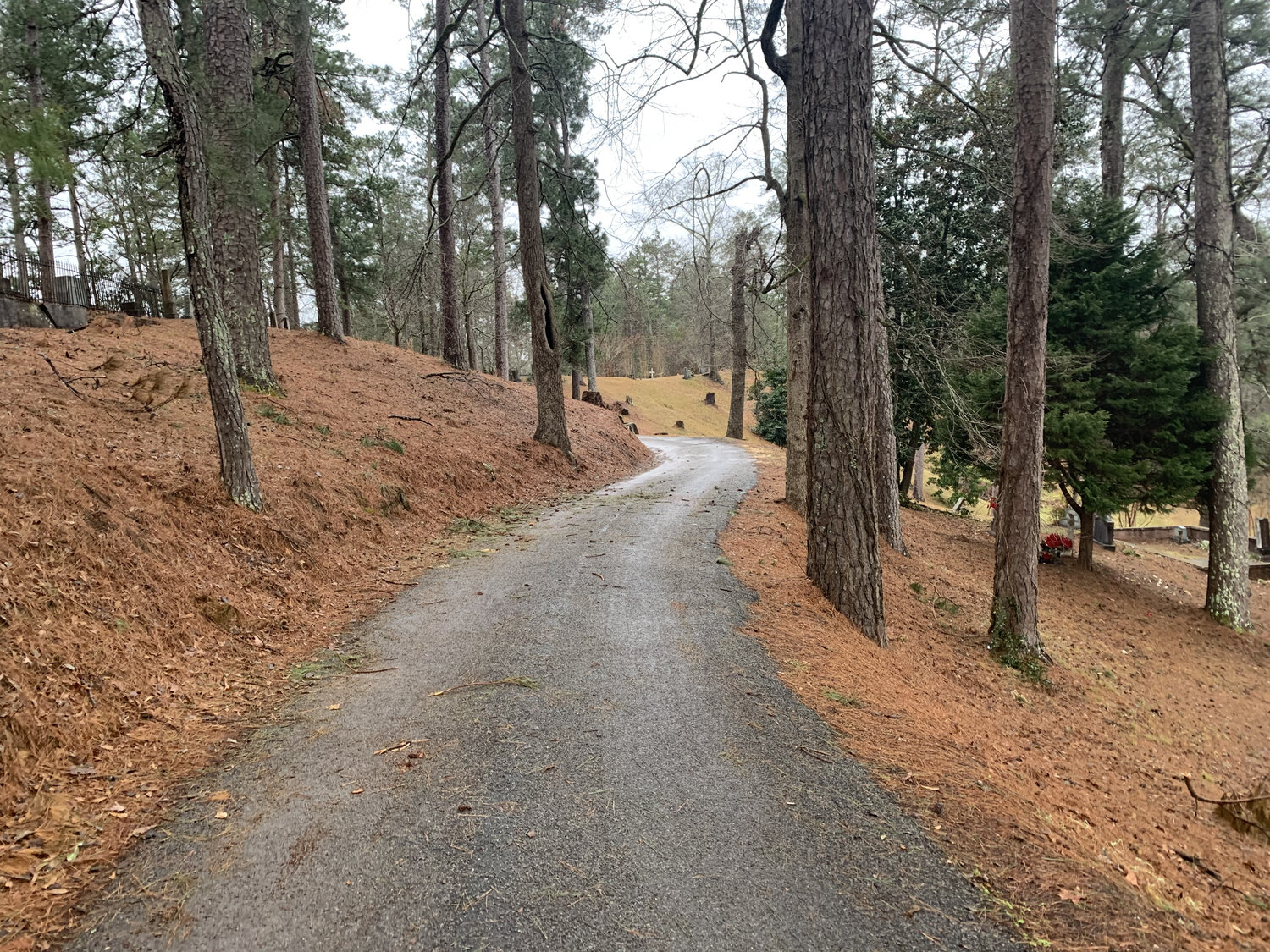 An empty road in the woods.