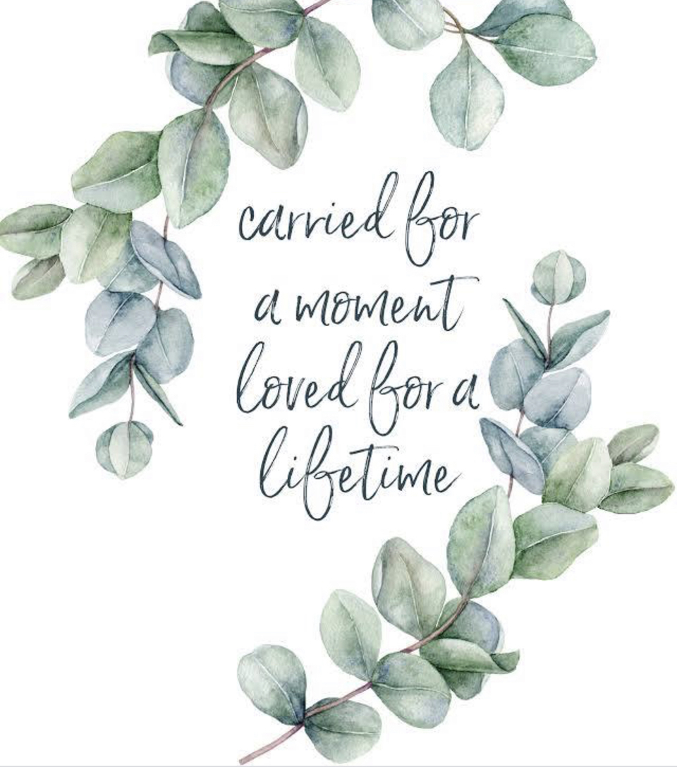 Illustration of green leaves and words &quot;carried for a moment loved for a lifetime&quot;.