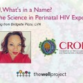 Headshot of Bridgette Picou, LVN and logos for The Well Project and CROI.
