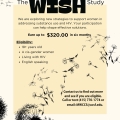 Flyer for WISH study.