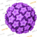 Ilustración del virus del papiloma humano (VPH).