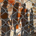 Shadows of people walking in line connected at hands seen on brick wall behind a chain-link fence.
