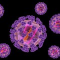Representation of human immunodeficiency viruses (HIV).