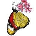 UnDeniable's picture