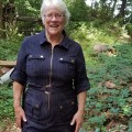 Susan's picture