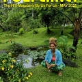 Cover of Poz Planet Magazine May 2025 Edition with Louise Vallace surrounded by greenery and a pond.