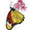 UnDeniable's picture
