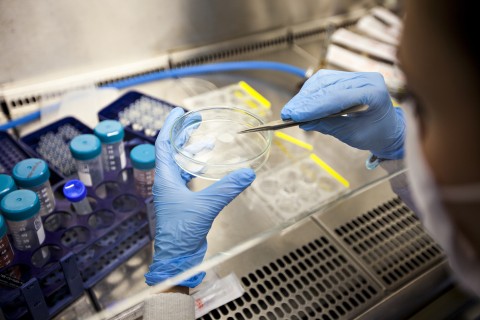Researcher in lab with vials and a Petrie dish.  