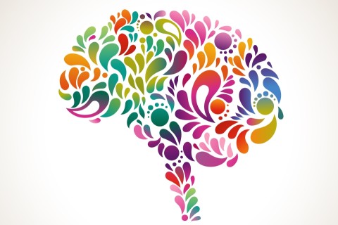 Colorful representation of the brain and spinal cord.