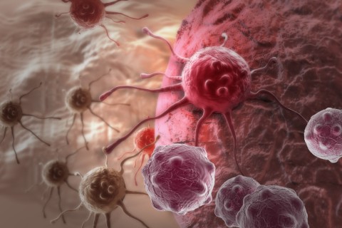 Representation of cancer cells.