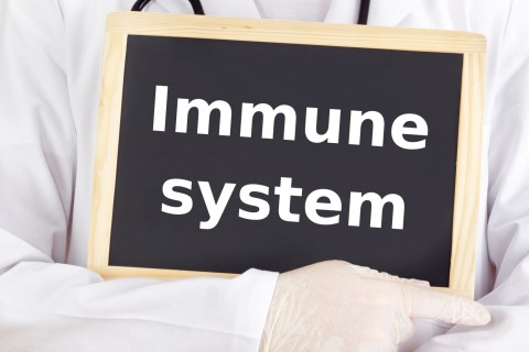 Gloved person in medical garb holding small chalkboard that reads "Immune System".