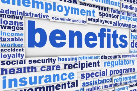 Word cloud including words "unemployment", benefits", "economic security", "wages", "health care".