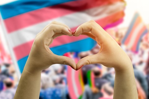 Close up of hands creating shape of heart with people and Trans flags in the background.