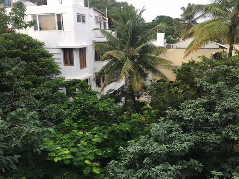 A house amongst trees in Bangalore.